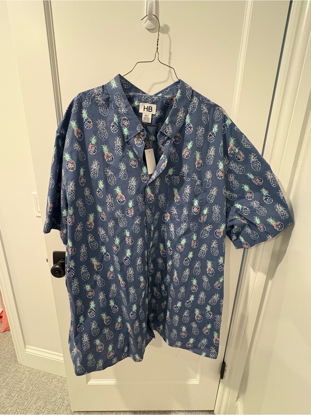 NWT HB Pineapple Print Button Up Shirt